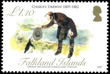 Charles Darwin exploring local fauna on  stamps of Falkland Islands 2009