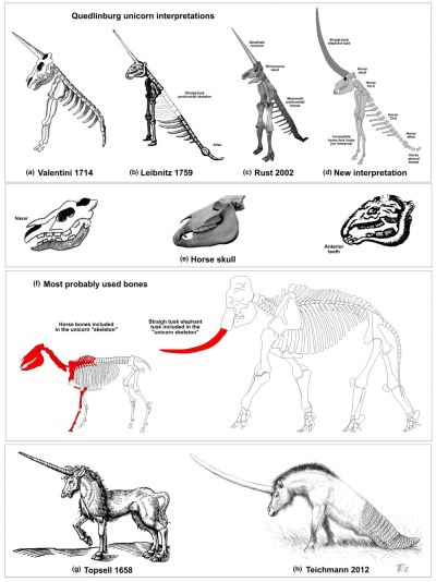 Quedlinburger Unicorn comparison of reconstructions, iedrich, C. G. (2021)