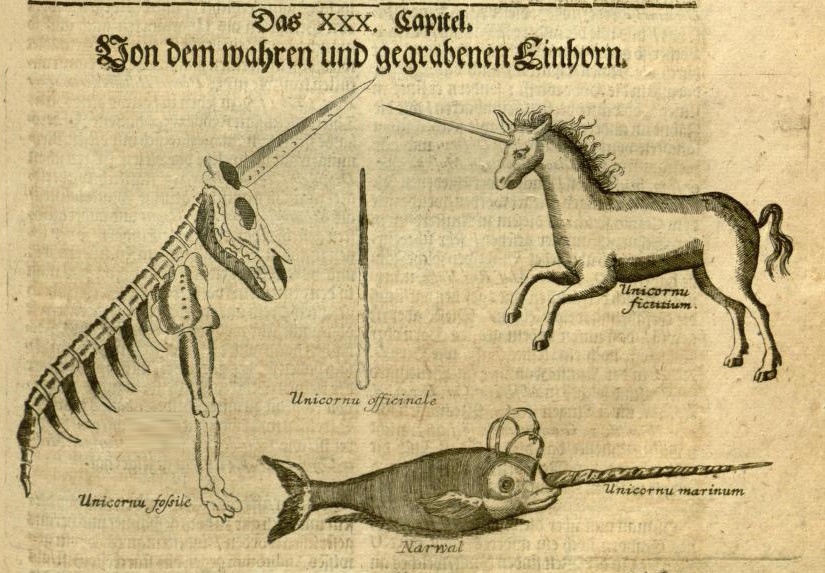 Unicorns represented by Michael Bernard Valentini, published in 1704