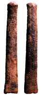 Ishago bone