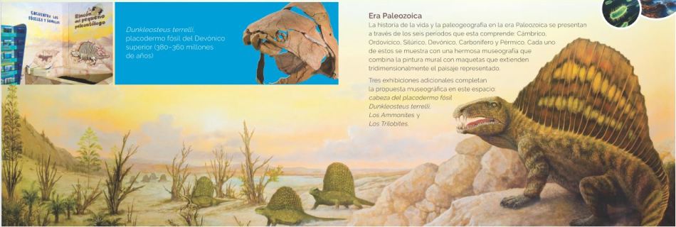 Paleozoic room of Natural History Museum of the Dominican Republic