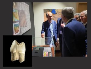 Fereidoun Biglari  presenting the Wezmeh Neanderthal tooth to Minister of Cultural Heritage at new exhibition of Iran National Museum.