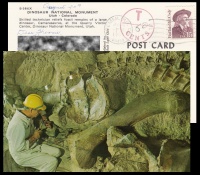 Paleontology related Towns of USA