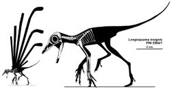 Longisquama insignis skeleton&silhouette small