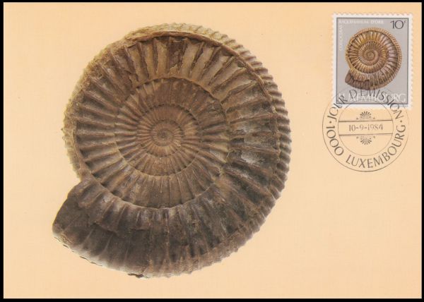 Ammonite Coeloceras raquinianum on stamp of luxembourg 1984