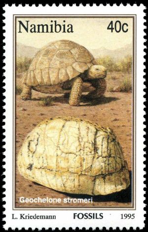 Geochelone stromeri on stamp of Namibia 1995
