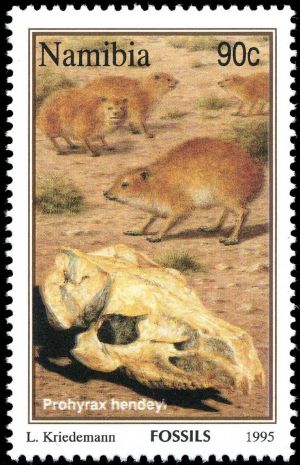Crocodylus lloydi on stamp of Namibia 1995