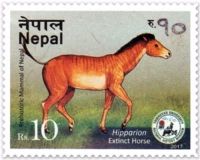 Extinct Horse Hipparion  on prehistoric mammal stamp of Nepal 2017