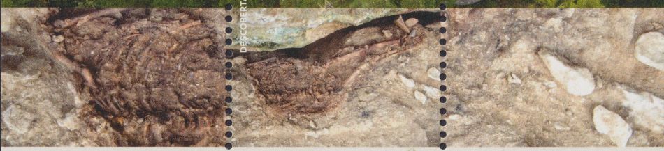 Fossil of Lagar Velho Boy on stamps of Portugal 2025