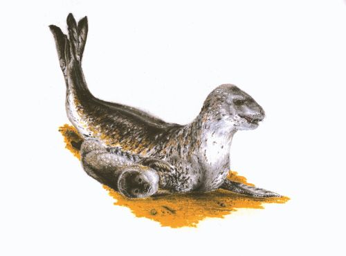 Reconstruction of prehistoric life at Devínska Kobyla hill  on Maxi Card of Slovakia 2022.