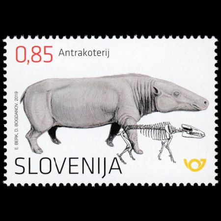 Fossil and reconstruction of Anthracotherium on stamp of Slovenia 2019, Click to enlarge Fossil and reconstruction of Anthracotherium on stamp of Slovenia 2019