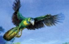 Archaeopteryx on stamp of USA 1997