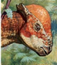 Stegoceras on stamp of USA 1997