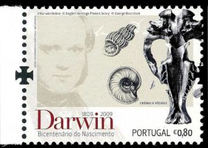 The cross shape perforation used on the middle of the left and right side of Portuguese stamps from 2009