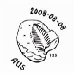 Prehistoric animal of Ediacara fauna on commemorative postmark of Namibia 2008