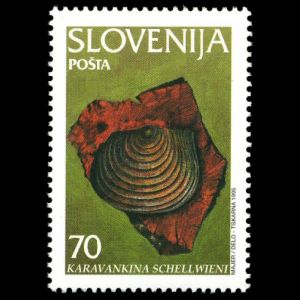 shell fossil of Karavankina schellwieni on stamp of Slovenia 1995 shell fossil of Karavankina schellwieni on stamp of Slovenia 1995