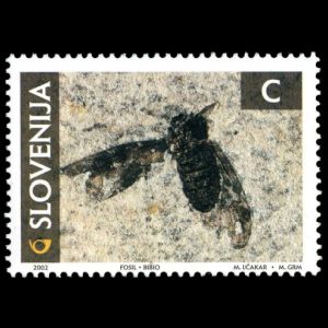 Fossil of prehistoric fly on stamp of Slovenia 2002