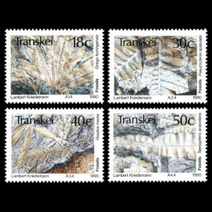 transkei_1990.jpg