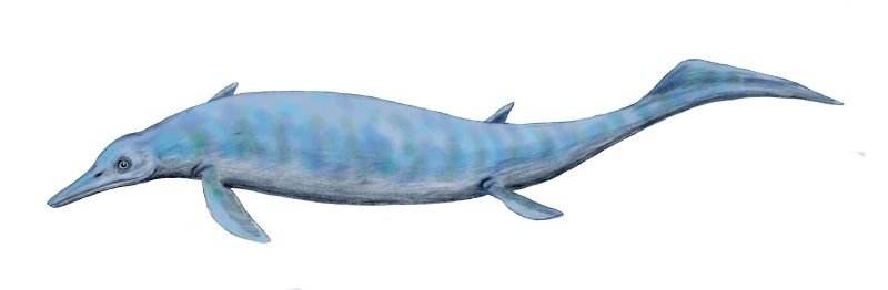 Reconstruction of Chaohusaurus by Nobu Tamura