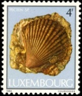 Shell fossil on stamp Shell fossil on stamp